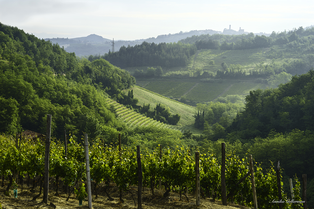 Landscape of Cassinasco, Piemonte (UNESCO World Heritage)